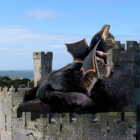 morganirizarry2